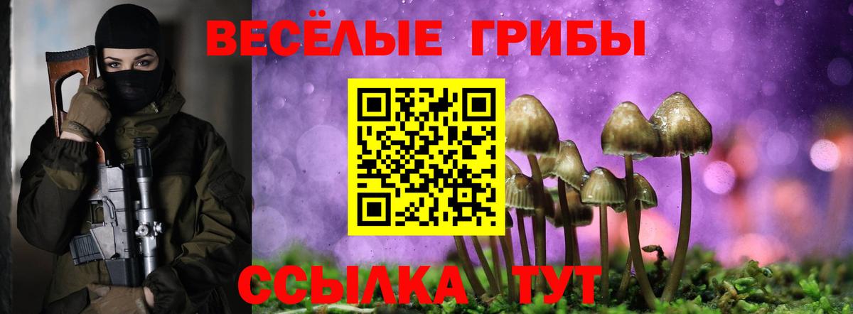 Галлюциногенные грибы ЛСД  Псилоцибиновые грибы MAGIC MUSHROOMS  Златоуст  Вход с VPN 